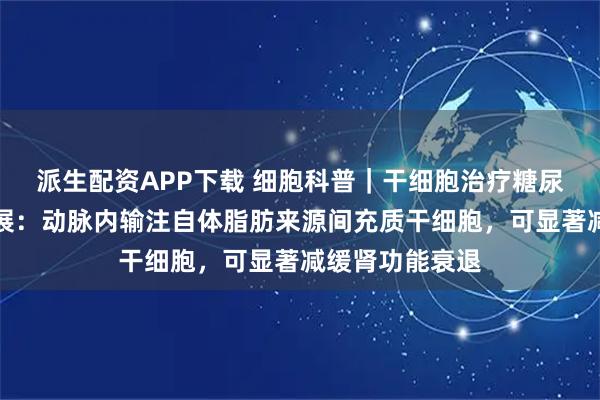 派生配资APP下载 细胞科普｜干细胞治疗糖尿病肾病最新进展：动脉内输注自体脂肪来源间充质干细胞，可显著减缓肾功能衰退