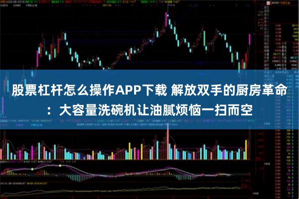 股票杠杆怎么操作APP下载 解放双手的厨房革命：大容量洗碗机让油腻烦恼一扫而空