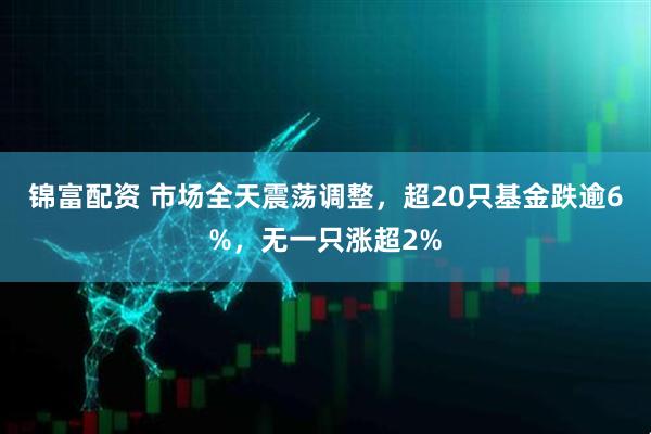 锦富配资 市场全天震荡调整，超20只基金跌逾6%，无一只涨超2%