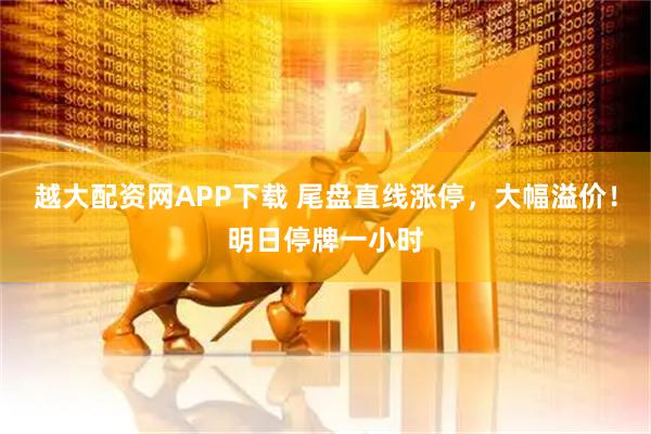 越大配资网APP下载 尾盘直线涨停，大幅溢价！明日停牌一小时