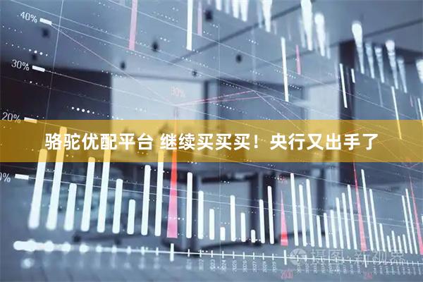 骆驼优配平台 继续买买买！央行又出手了